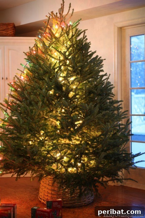 Centralized Tree Lighting