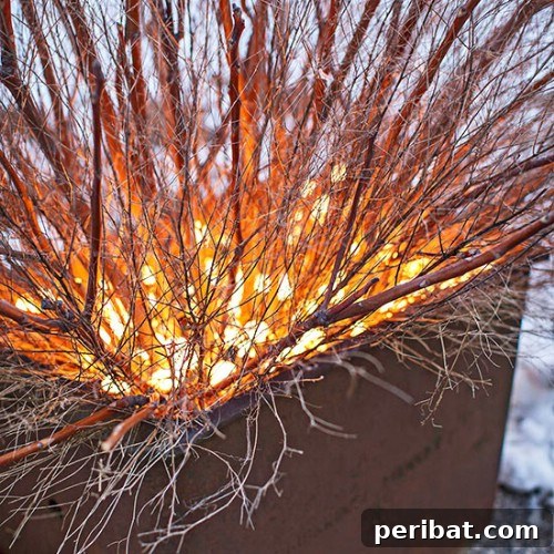 Reuse Tangled Lights