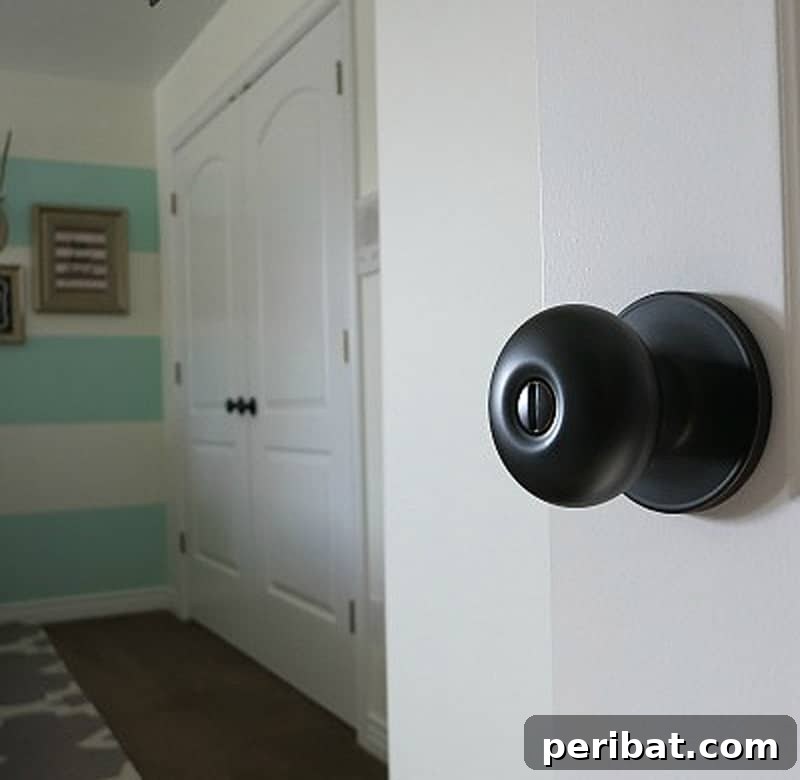 Sleek black round door handle with a minimalist design.