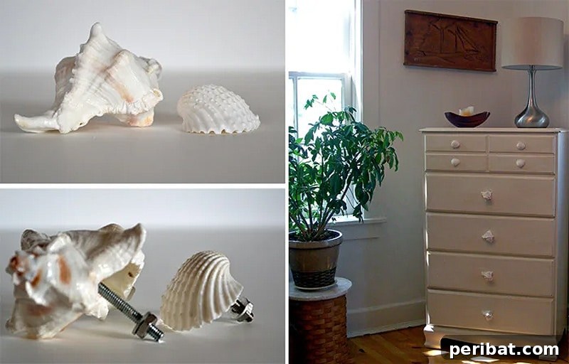 Decorative shell door knobs, perfect for a nautical or beach-themed room.