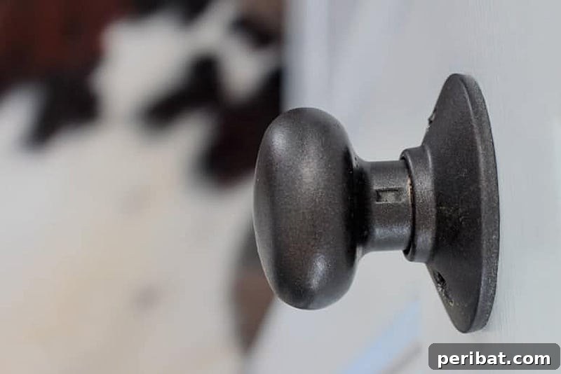 Brassy door knobs painted a chic matte black, before and after.