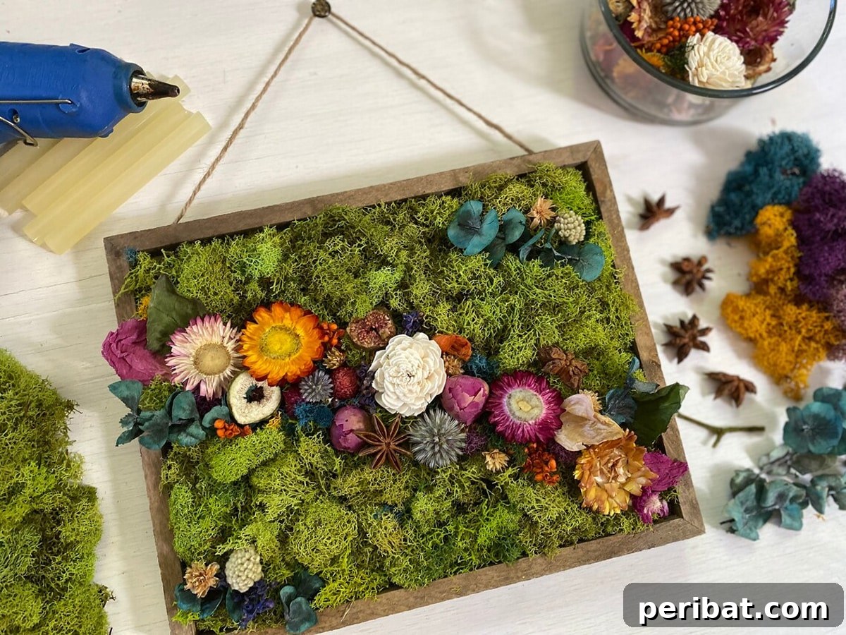 assembling own hanging garden