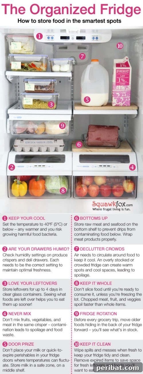 Guide to Storing Produce Correctly in the Fridge