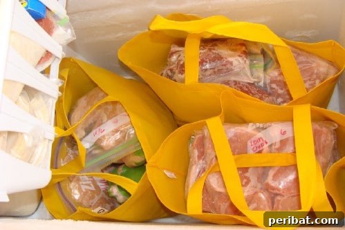 Fabric Bags for Chest Freezer Organization