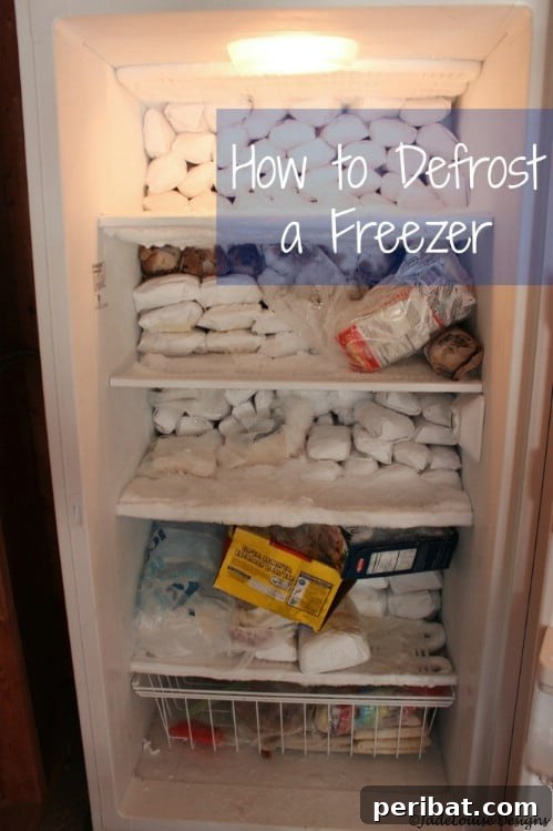 How to Defrost a Freezer Properly