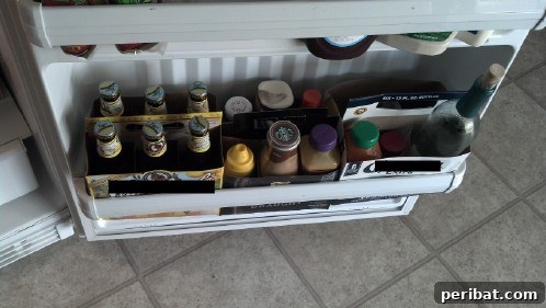 Six-Pack Condiment Organizer for Fridge Doors
