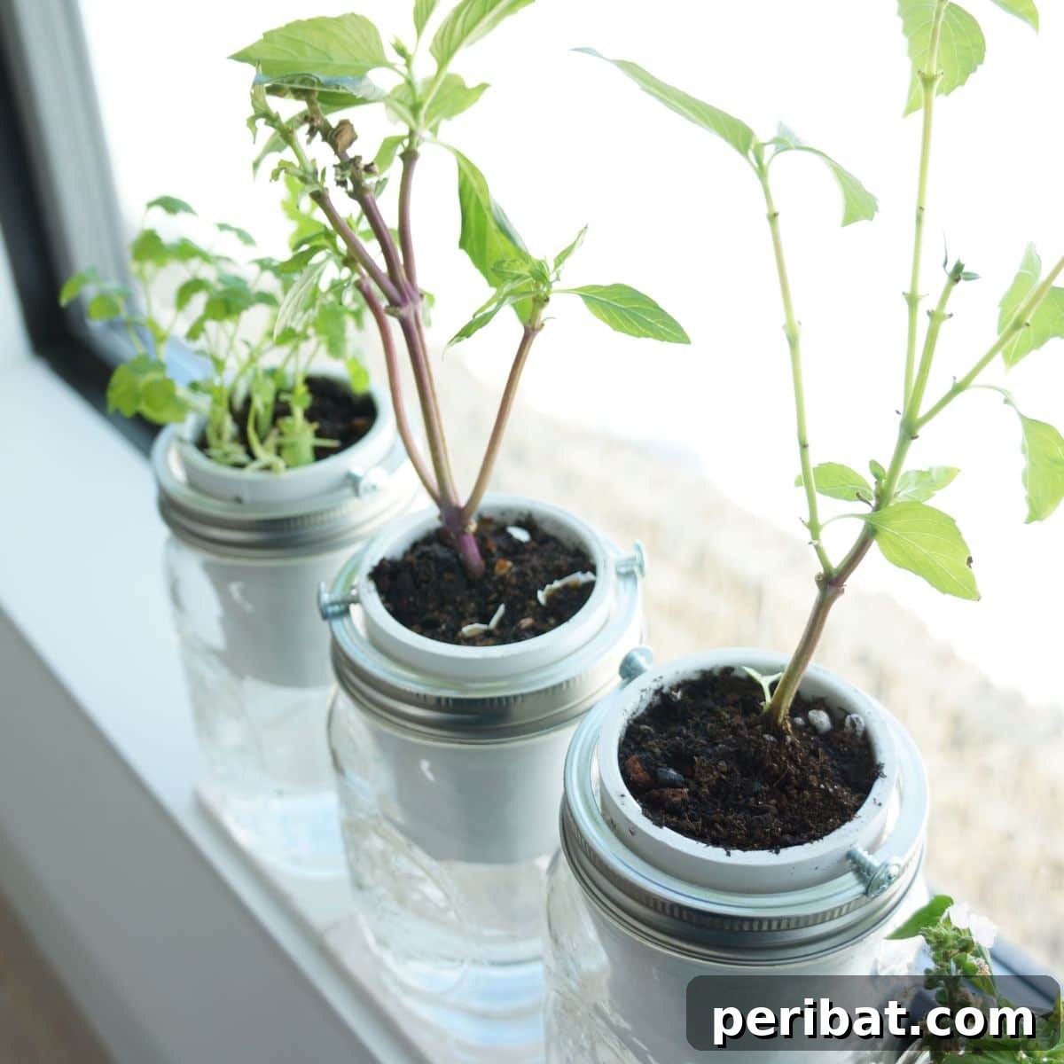 DIY self-watering herb planter, indoor garden gift, handmade present for girlfriend who cooks