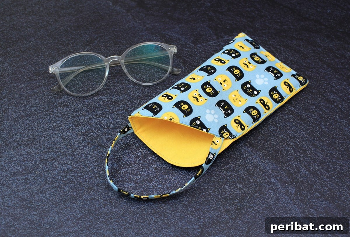 Craft Your Own Stylish Sunglass Cases 12 cat-shaped sunglasses case
