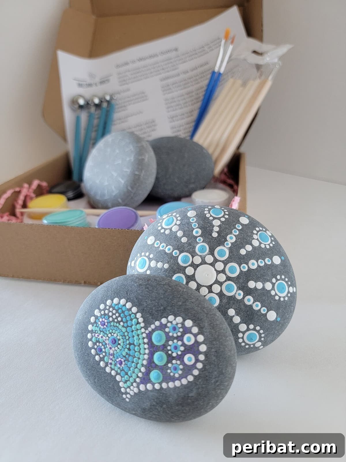 Creative Painted Rocks: Ideas, Projects, and Starter Kits 52 A comprehensive rock painting mandala beach stones dotting kit