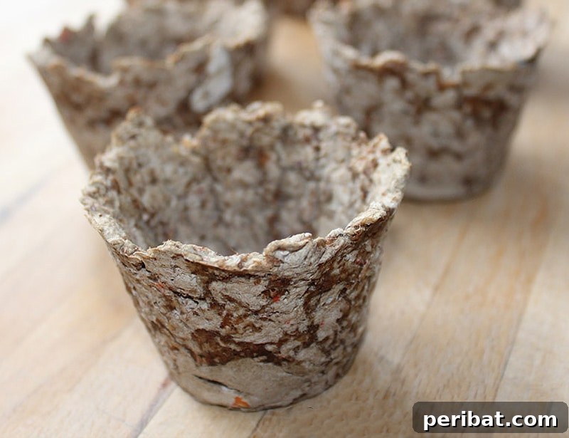 Eco-friendly paper mache seedling pots made from recycled cereal boxes
