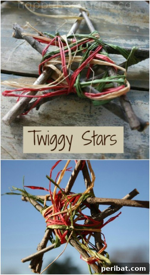 Twig Star Ornaments