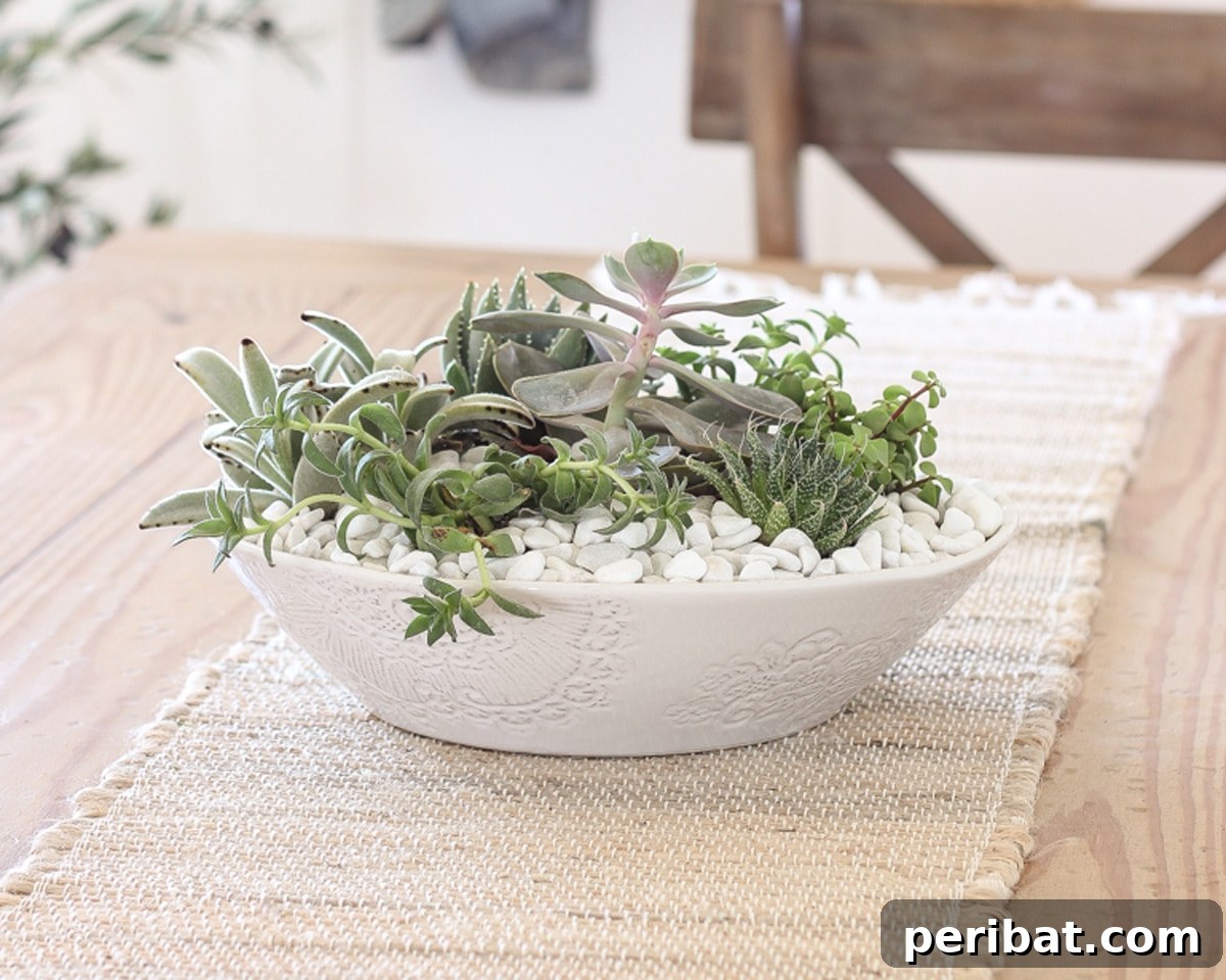 Exquisite succulent bowl centerpiece for low-maintenance wedding decor