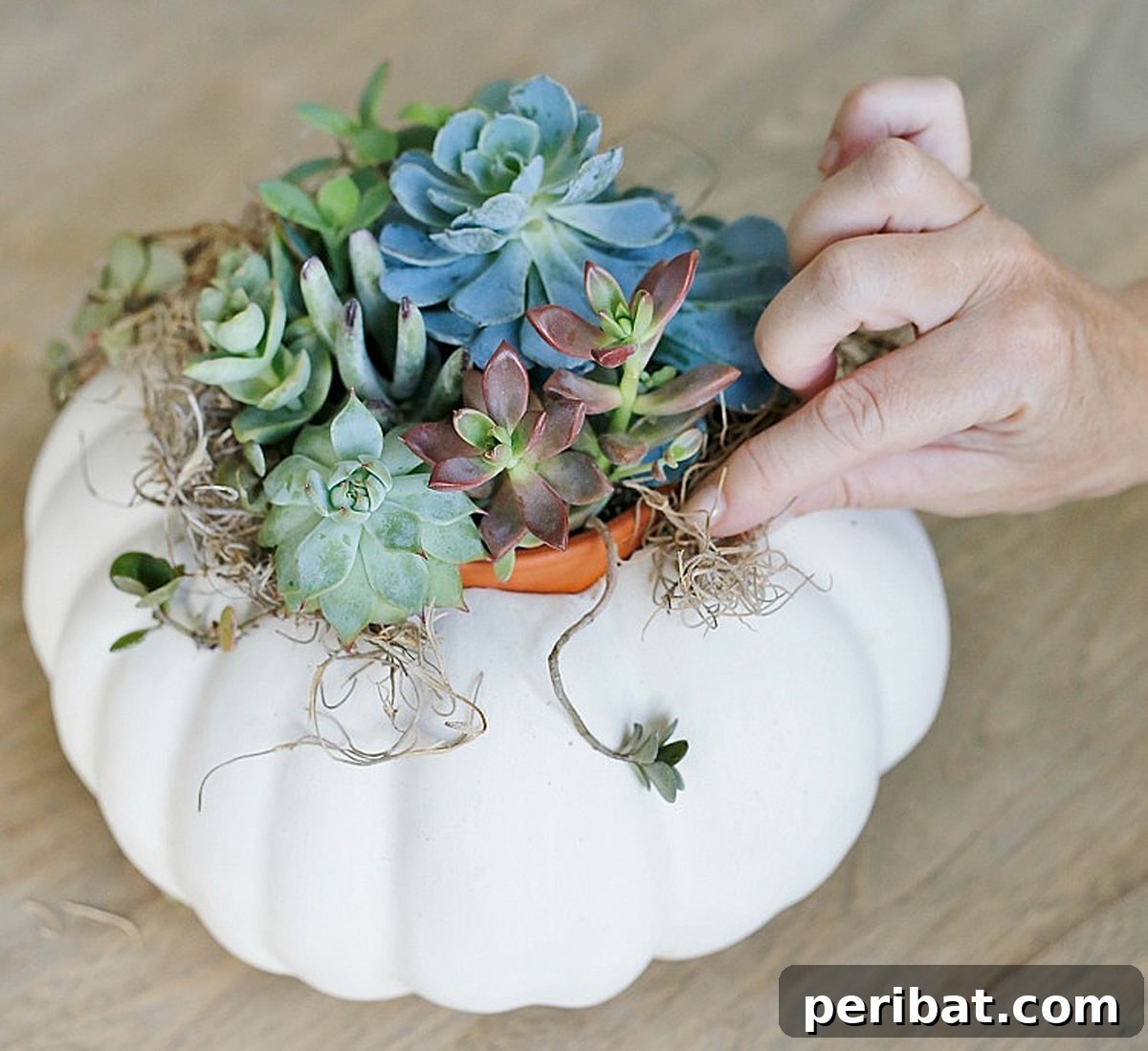 Unique DIY succulent pumpkin centerpiece for rustic and sophisticated wedding decor