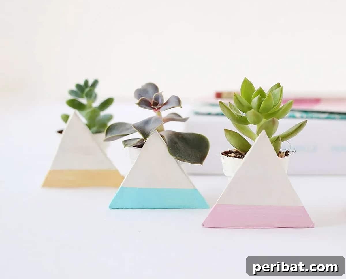 Three geometric planters filled with mini succulents, a modern and stylish DIY party favor.