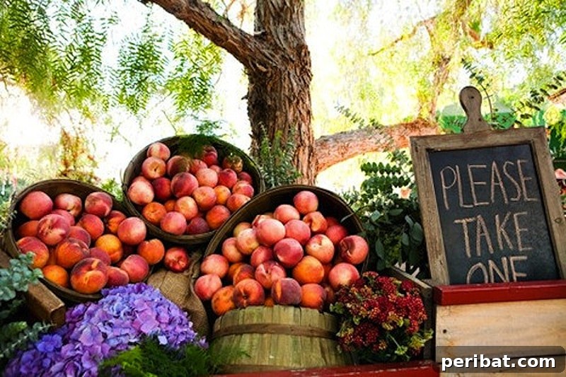 Fresh fruit party favors with elegant packaging, showcasing an eco-friendly and stylish gift idea.