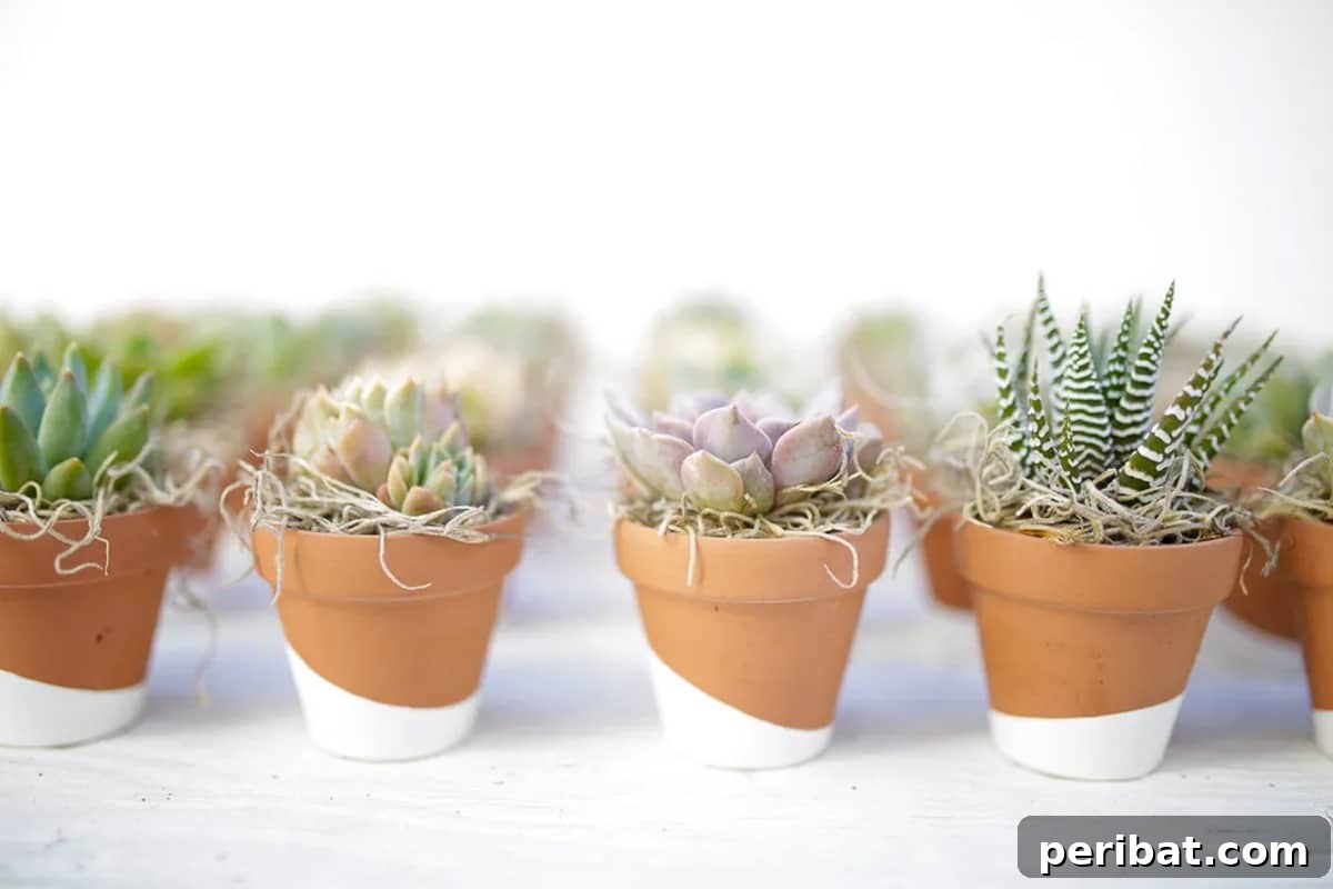 Dipped terra cotta pot filled with succulents, a stylish and eco-friendly DIY party favor.