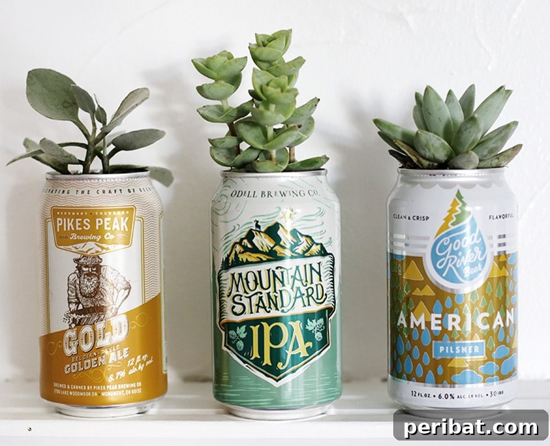 Empty beer cans creatively transformed into chic planters, a unique and eco-friendly DIY party favor.