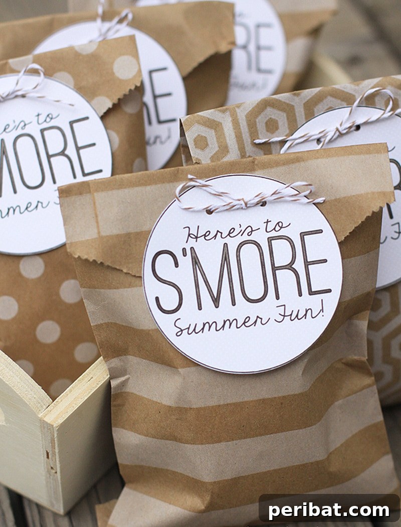 Charming goodie bags filled with S'mores ingredients, perfect for a summer party favor.
