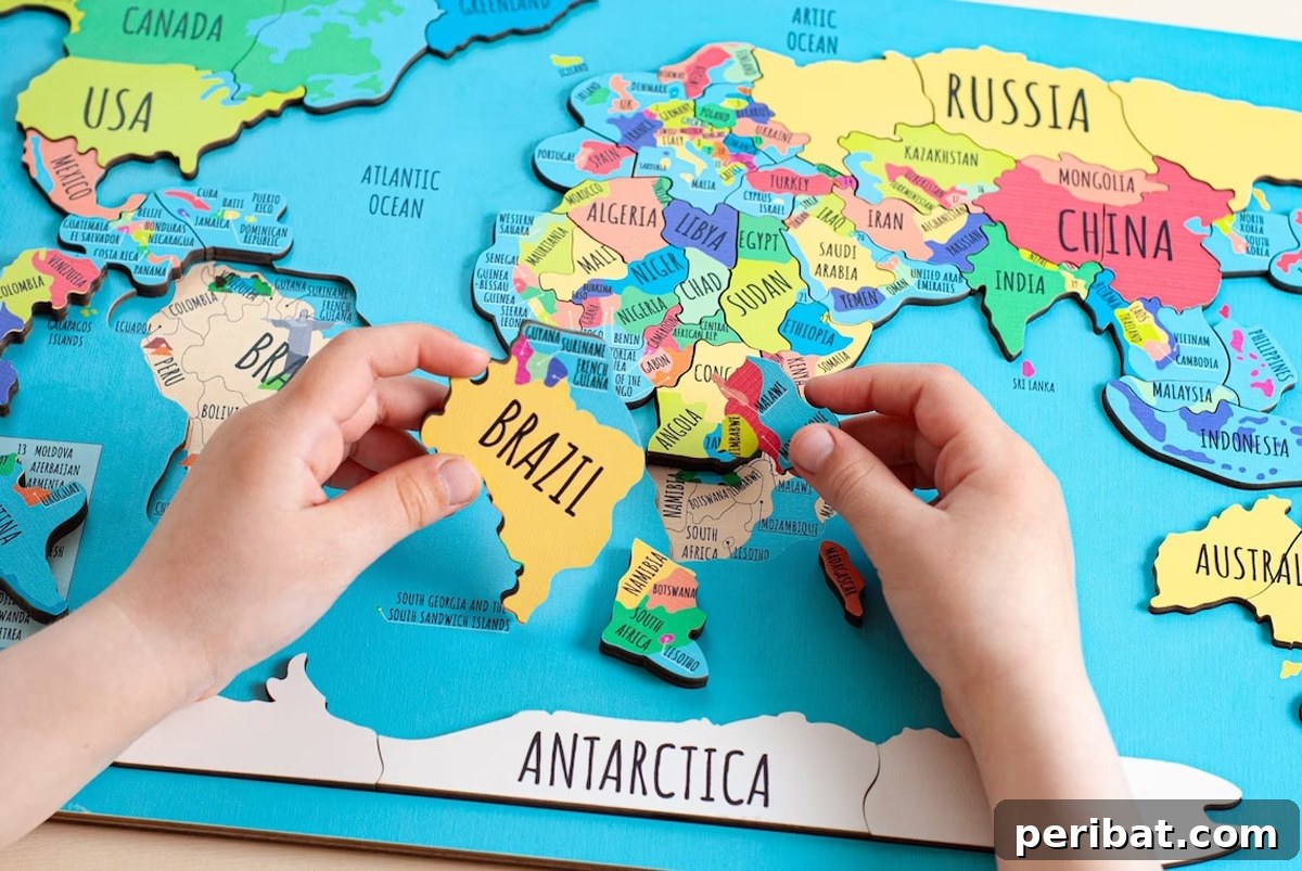 world map puzzle