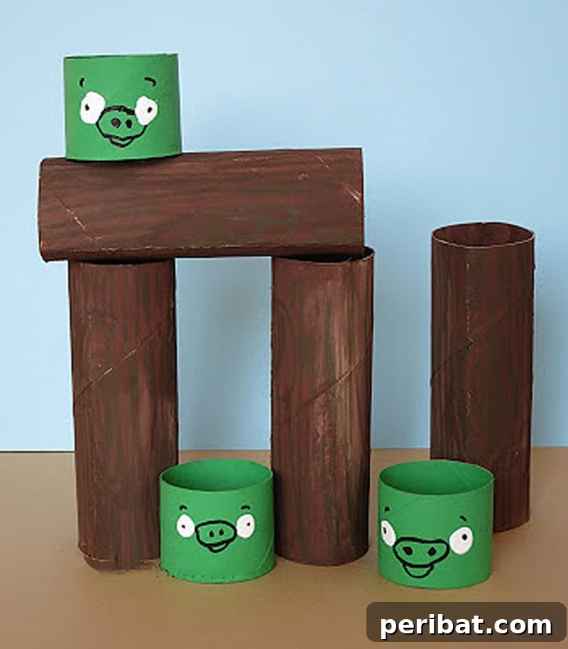 angry birds from toilet paper rolls