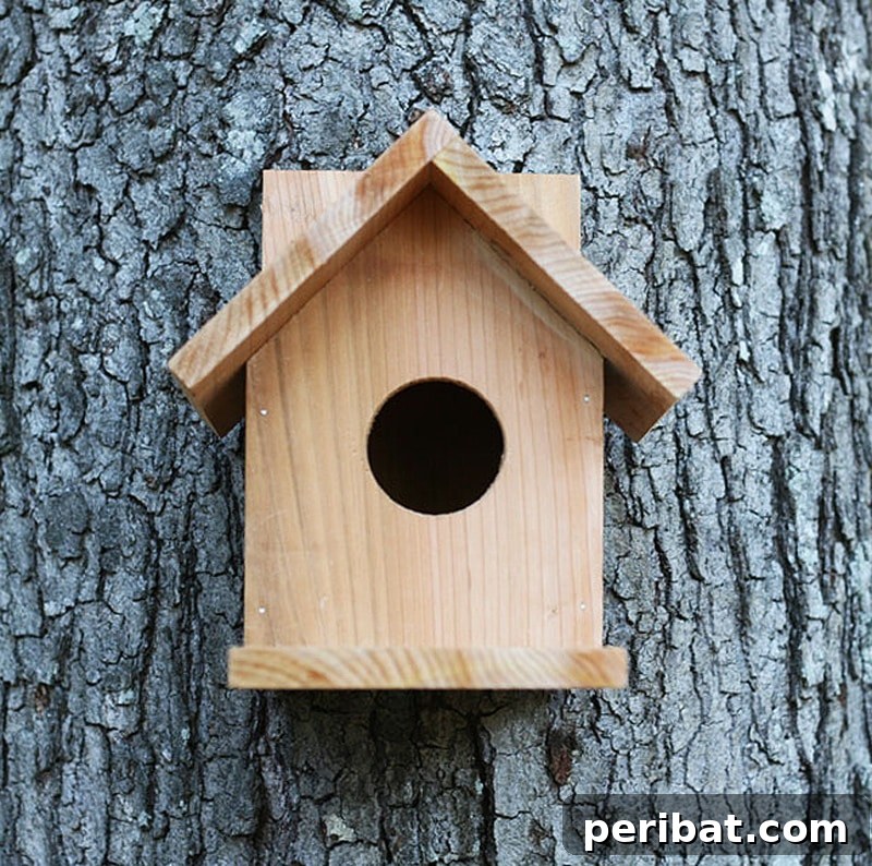 45 Creative DIY Birdhouse Projects 11 birdhouse from one cedar fence picket