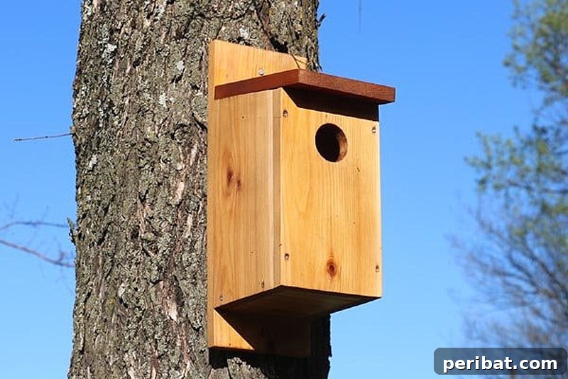 45 Creative DIY Birdhouse Projects 20 bird house hanging on tree