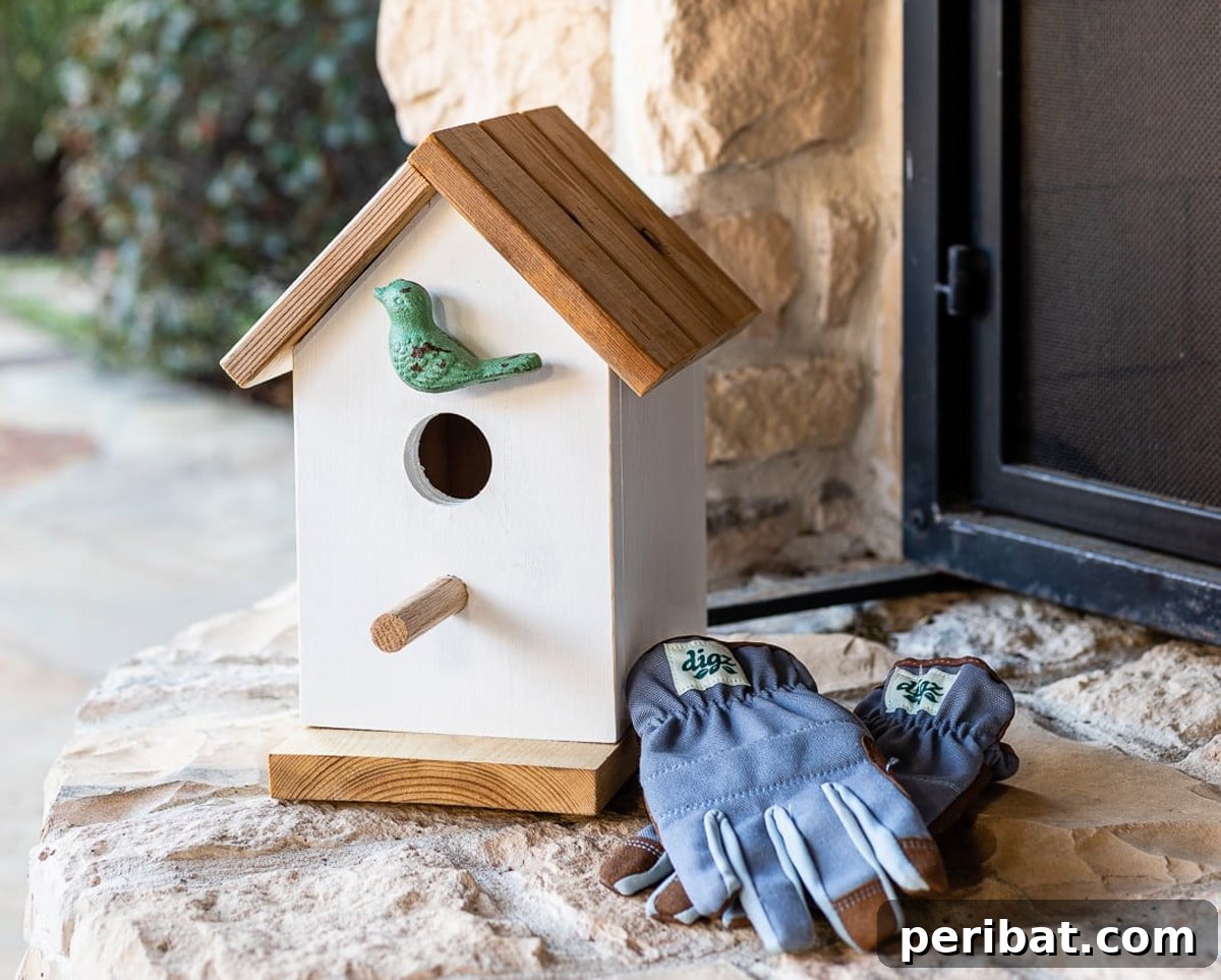 45 Creative DIY Birdhouse Projects 5 birdhouse plans and gloves