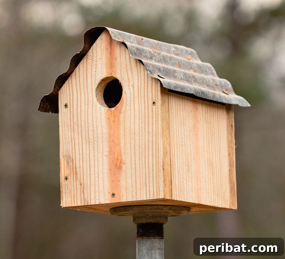 45 Creative DIY Birdhouse Projects 47 wooden birdhouse with corrugated iron roof
