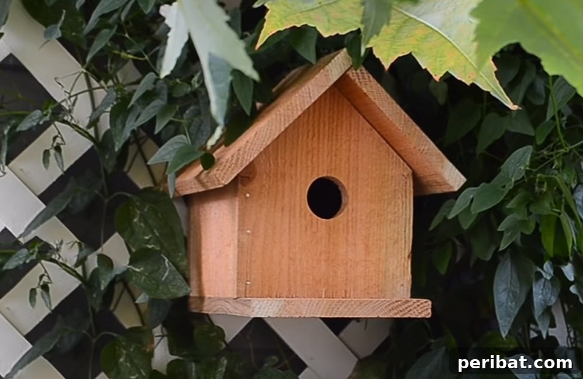 45 Creative DIY Birdhouse Projects 6 wooden birdhouse hanging on fence