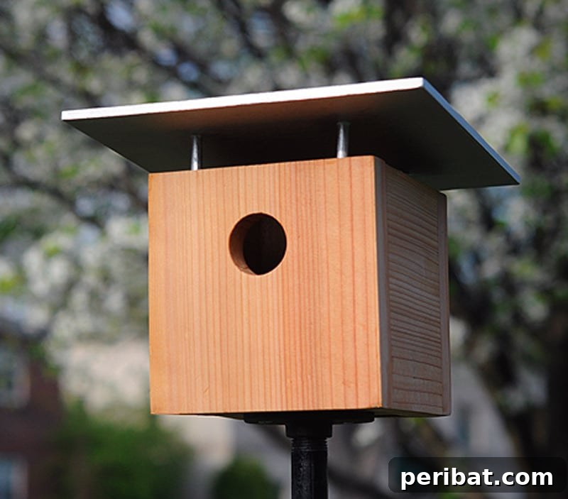 45 Creative DIY Birdhouse Projects 7 modern bird house plans