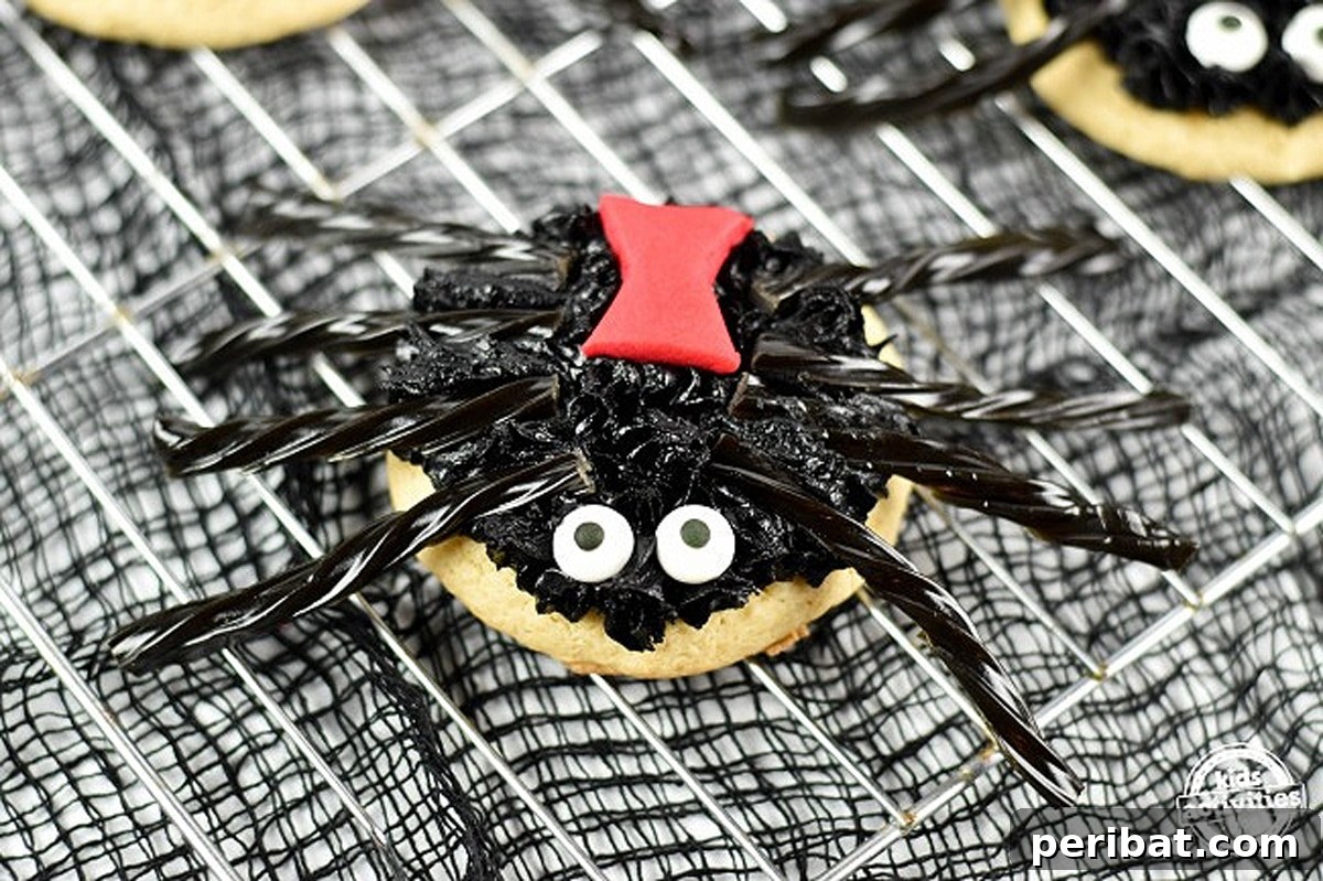 42 Spooktacular DIY Halloween Cookie Treats 15 Spider cookie kit with chocolate cookies and edible eyes
