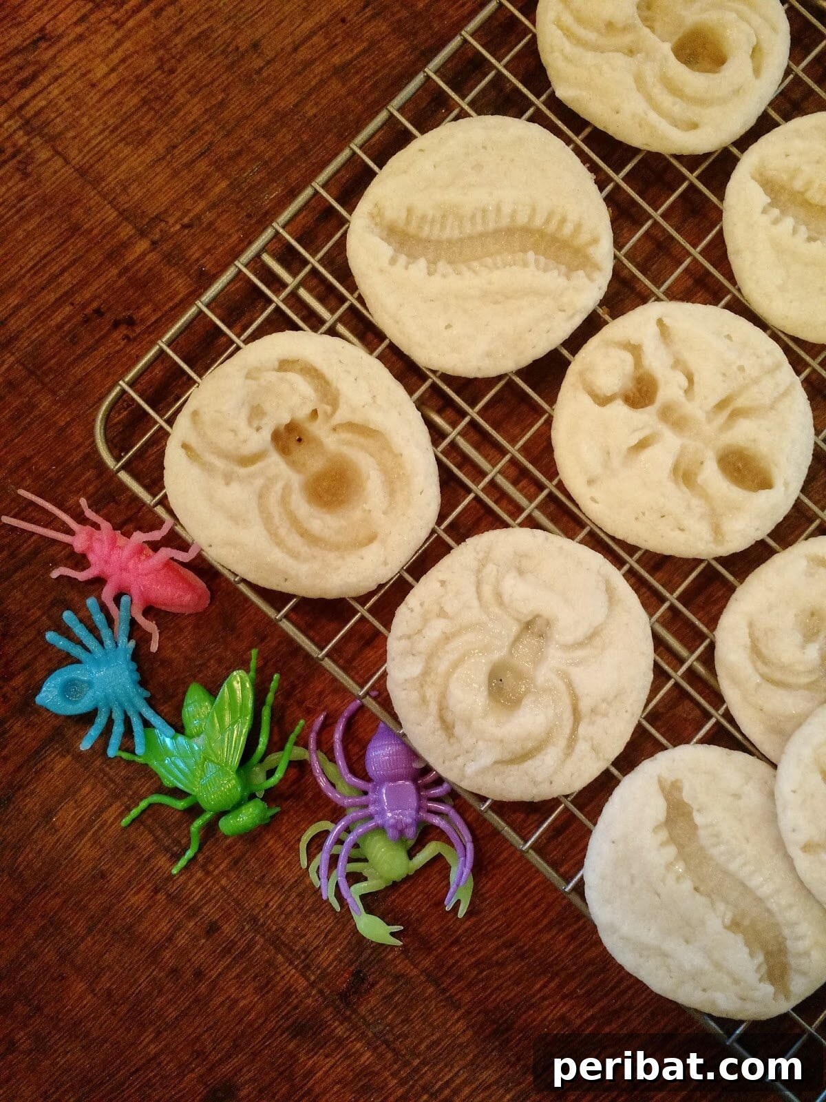 42 Spooktacular DIY Halloween Cookie Treats 18 Animal-shaped bug cookies for Halloween