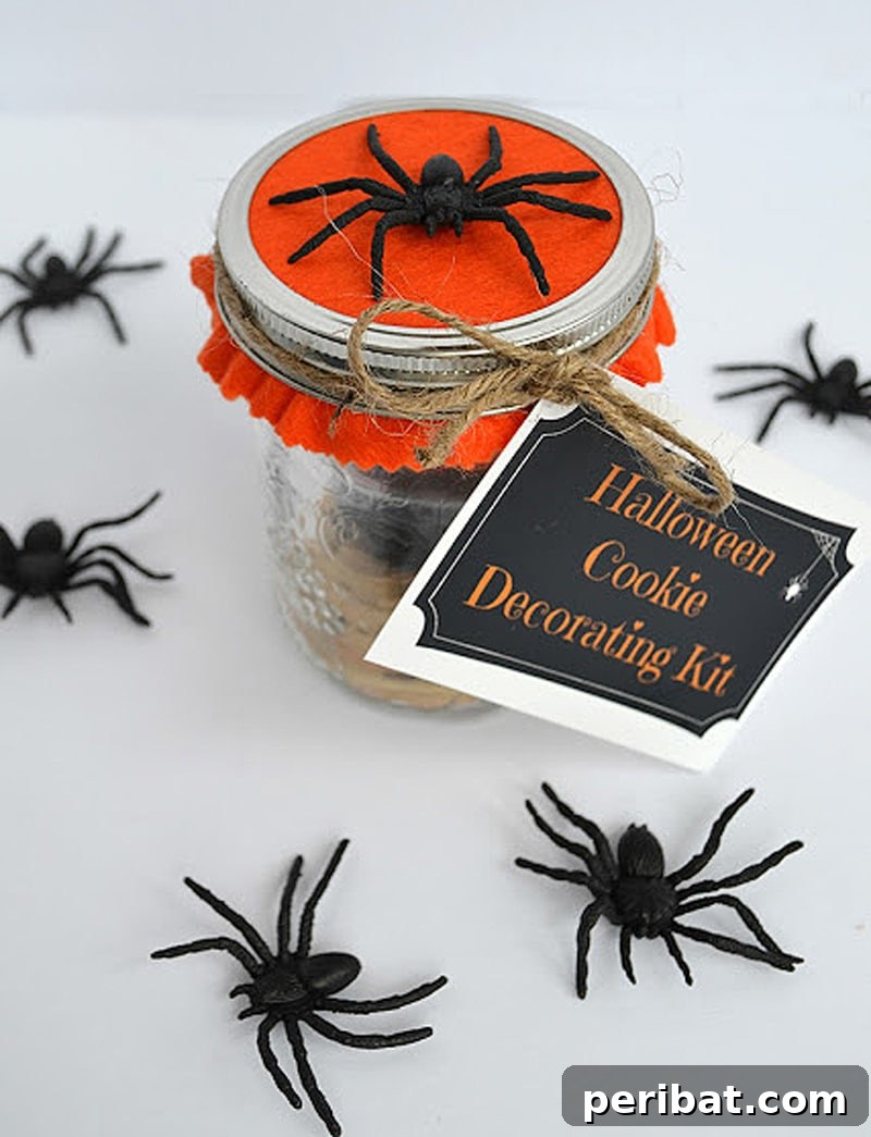 42 Spooktacular DIY Halloween Cookie Treats 19 Assembled Halloween cookie decorating kit