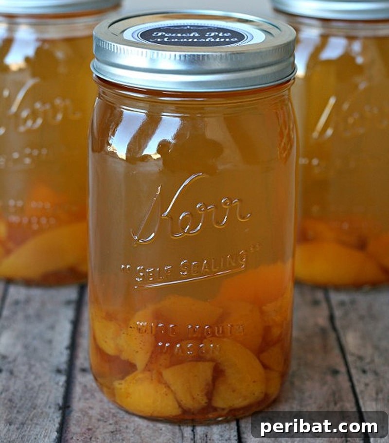 Craft Your Own Cocktails 24 Kit Ideas 7 Inventive Peach Pie in a Jar Moonshine for a sweet kick.