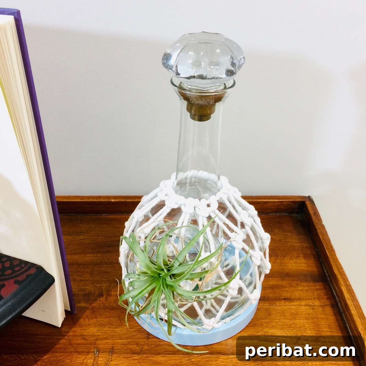 Uncork Your Creativity: 50 Wine Bottle and Glass DIY Projects 50 air plant holder
