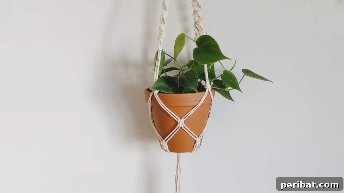 Macrame Plant Hanger Kit