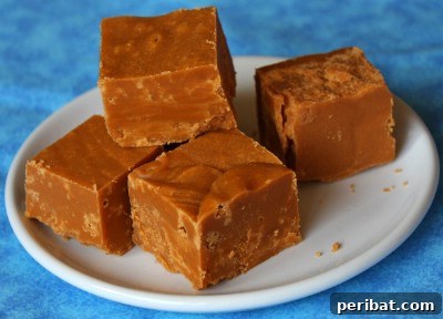 Cinnamon Fudge