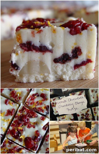 Cranberry and Orange Fudge