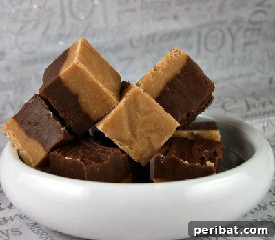 Chocolate Peanut Butter Fudge
