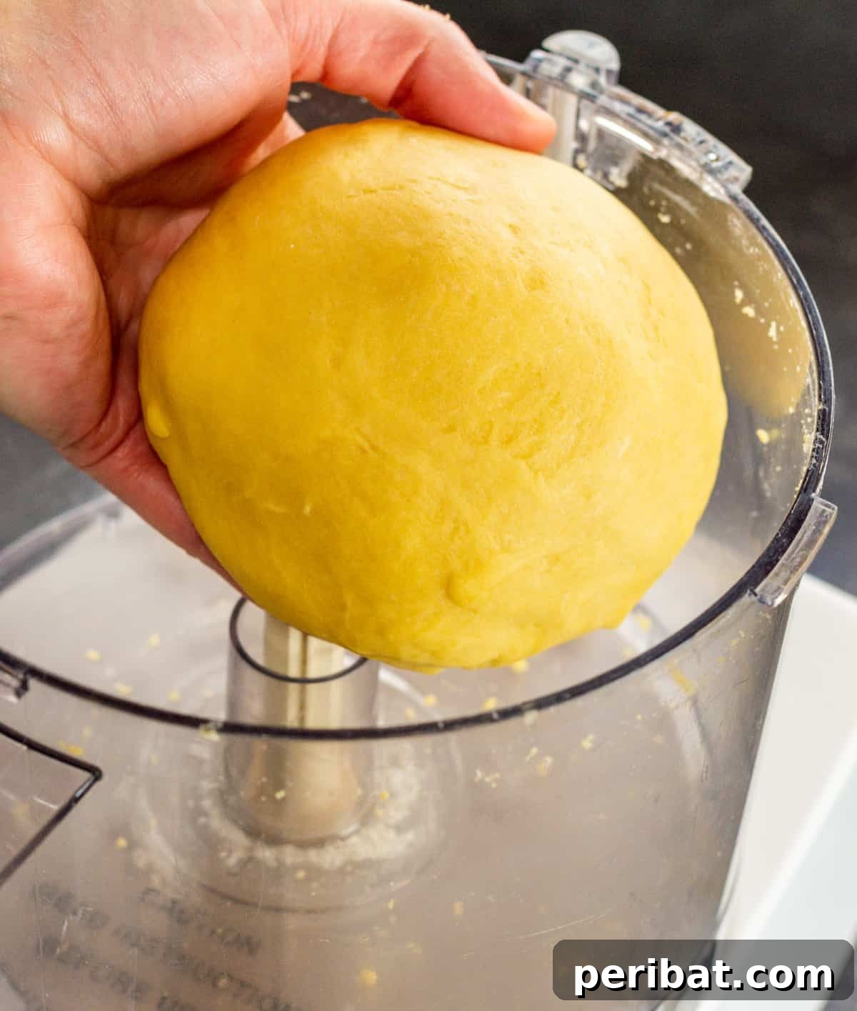 Food Processor Pasta Dough
