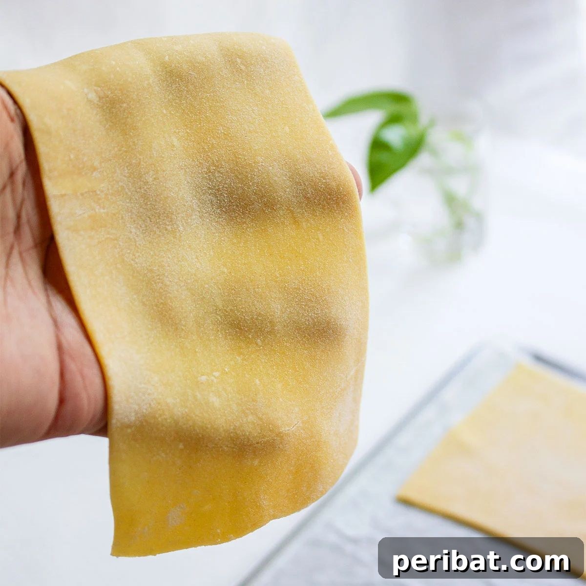 Homemade Lasagna Noodles Dough