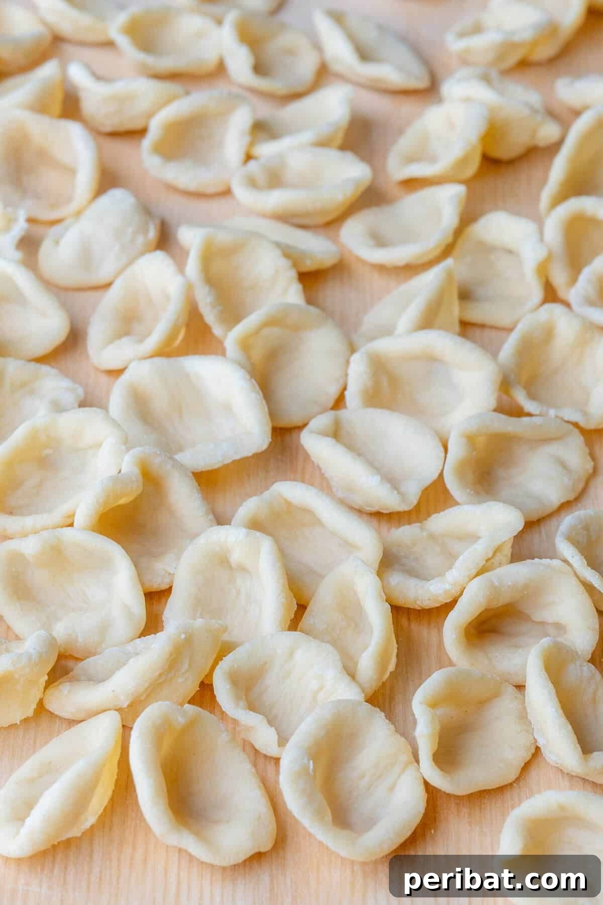 Homemade Orecchiette Pasta