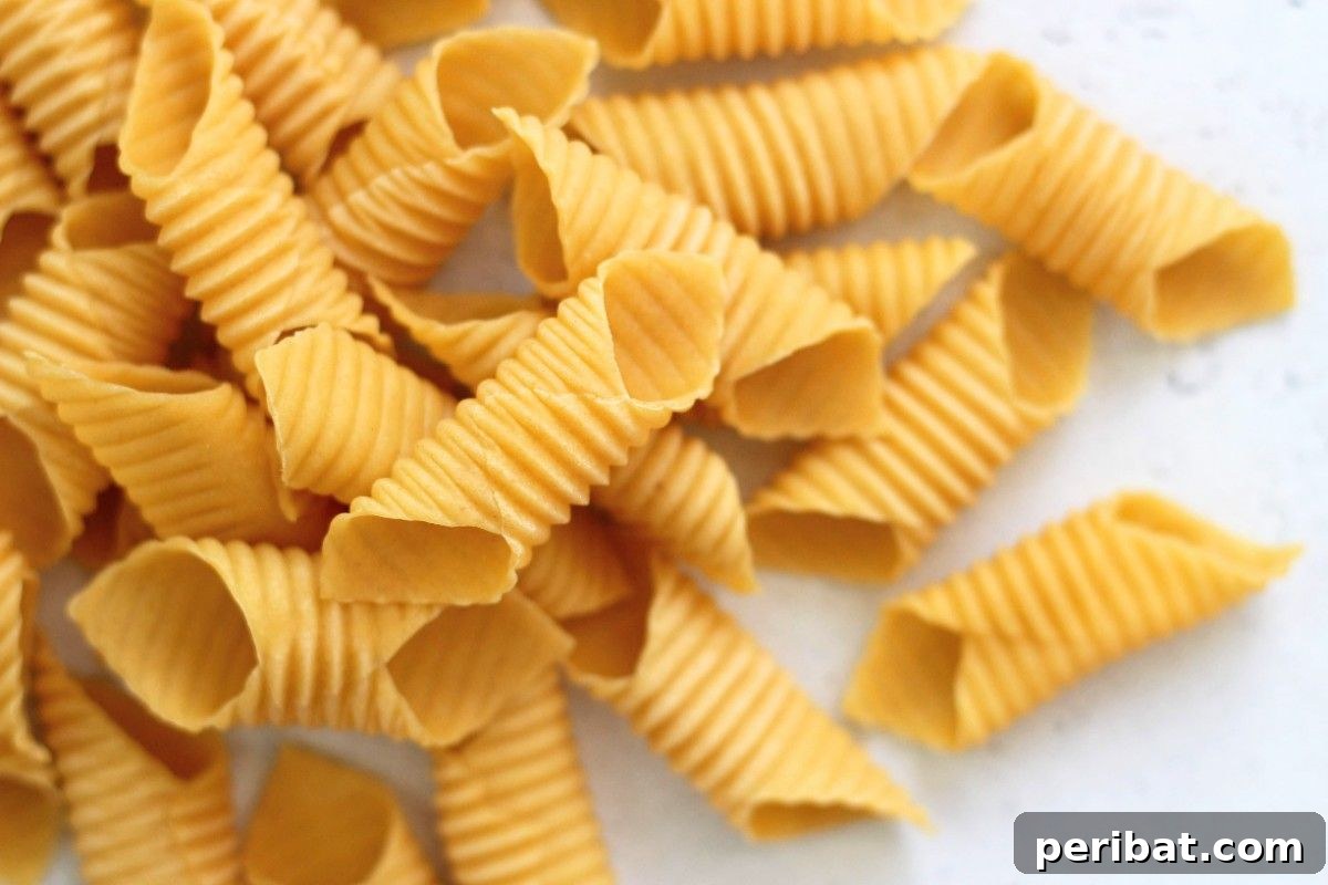Homemade Garganelli Pasta
