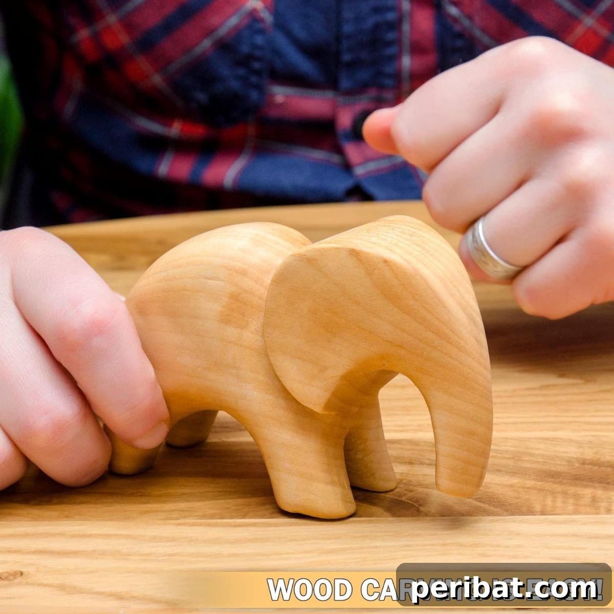 Craft Your Vision: 31 Wood Carving & Whittling Project Starters 15 Carved wooden Elephant