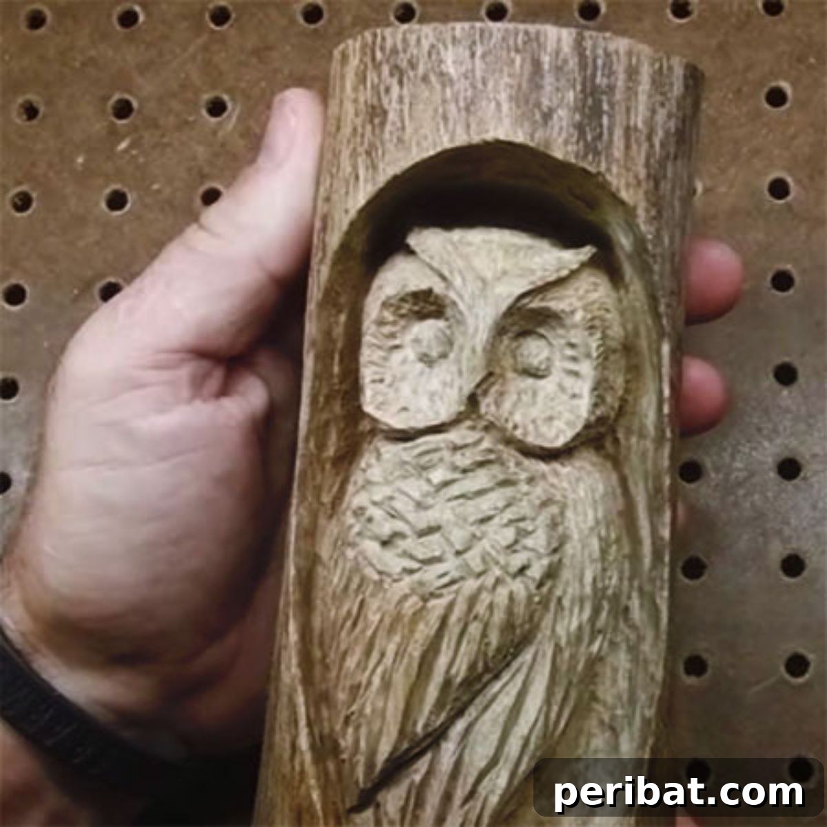 Craft Your Vision: 31 Wood Carving & Whittling Project Starters 24 DIY Wood Carving of Owl in a Tree Branch