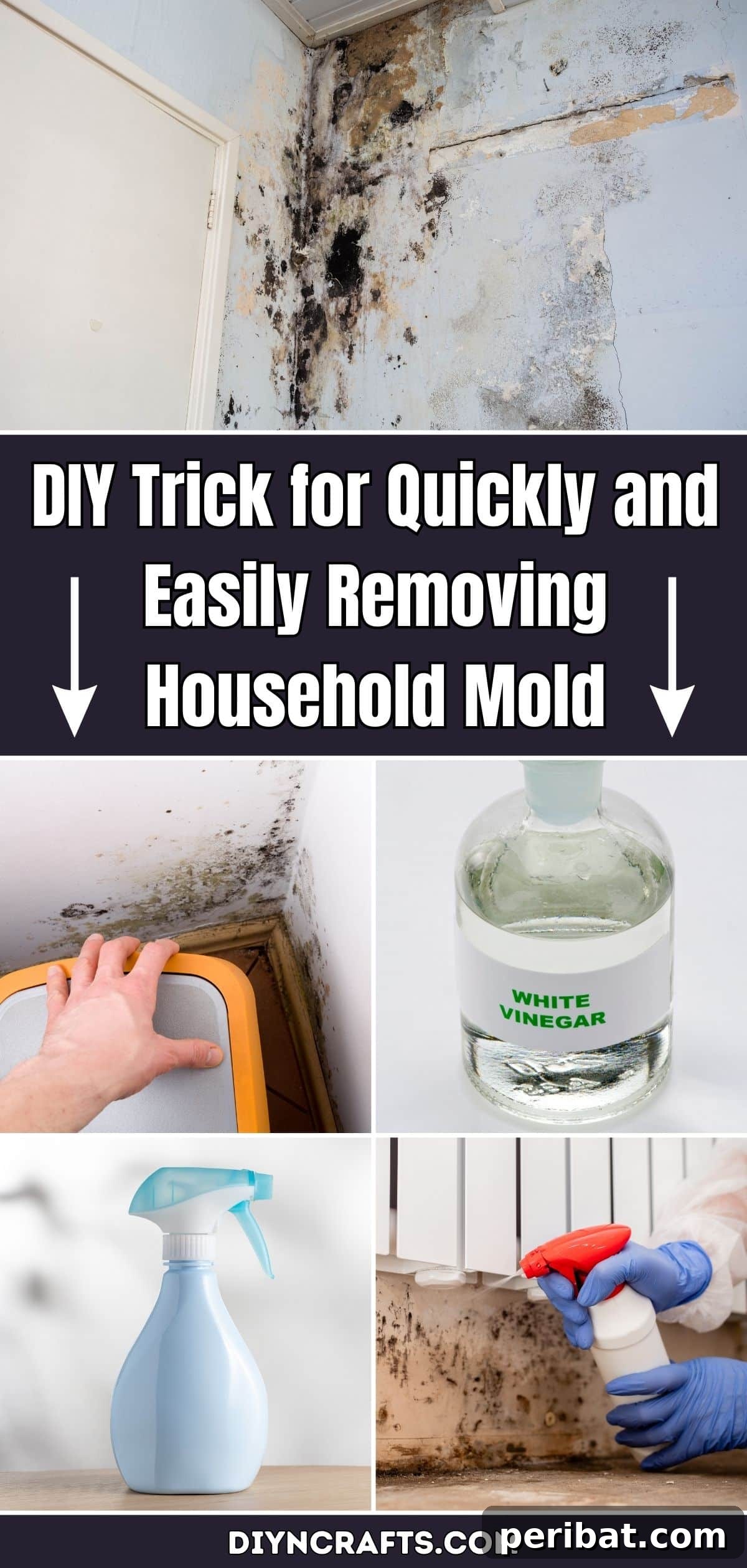 Effortless DIY Hack to Banish Household Mold 2 DIY Trick for Quickly and Easily Removing Household Mold with Vinegar – An effective natural solution for a healthy home.