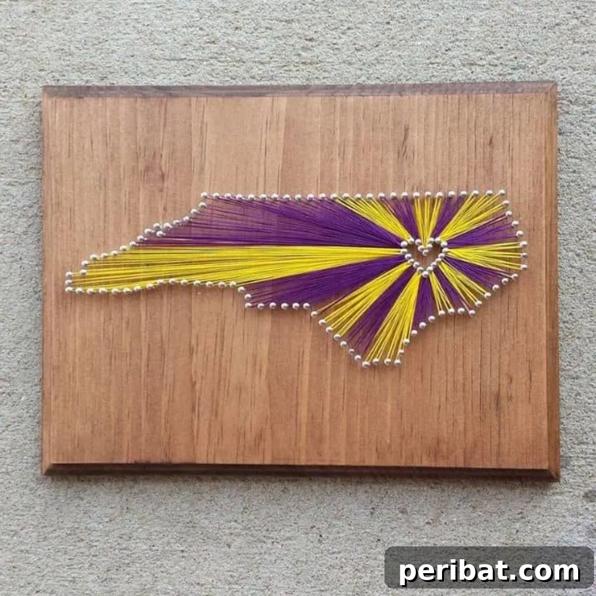 DIY Personalized State String Art for Any Location