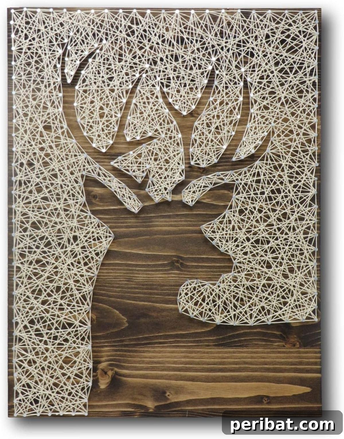 Deer String Art Kit