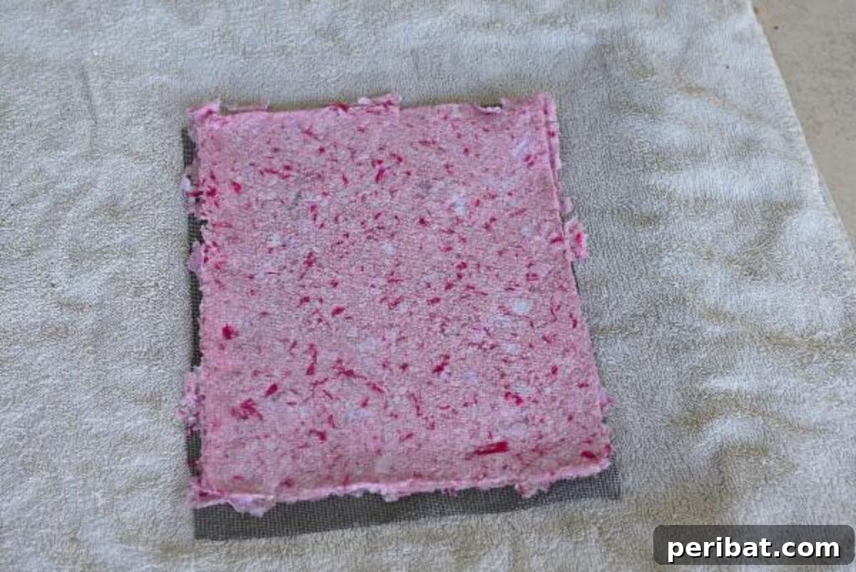 22 Creative DIY Paper Making Kits and Ideas 22 DIY recycled scrapbook paper with embedded elements