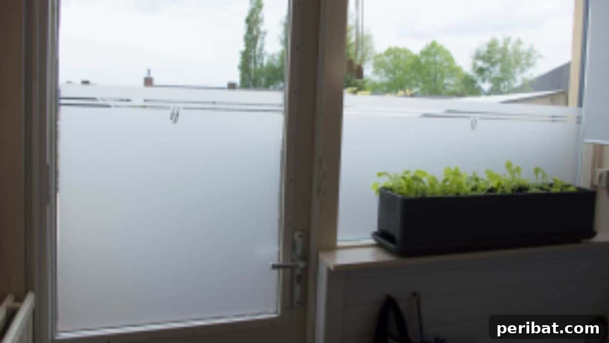 37 Creative DIY Window Film Solutions 10 DIY Frosted Window Film